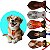 10 Gravatinha EVA Pet Shop Cão e Gato Personagens Animais P - Imagem 6