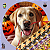 kit30 Gargantilhas Halloween Pet Shop Cachorro E Gato - Imagem 4