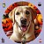10 Gravata P pet halloween estampada cetim cão gato 1 - Imagem 3