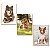 Kit 10 Placas MDF Cachorros Parede Criativa e Divertida DC16 - Imagem 5