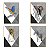 Kit 10 Placas MDF Animais da Selva Decorativa Moderna DC15 - Imagem 5