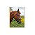 Kit 5 Placas MDF Cavalos Decorativos Estilo Country DC35 - Imagem 6