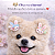 kit 50 Adesivo Pet de Páscoa para Cães – Uso em Pet Shop - Imagem 3