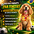 Kit 30 Gravata Cão Copa 2026 Pet - Banho Tosa - Imagem 3