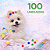 Kit 100 Pompom Adesivo Cão Pet Banho Tosa - Cola Incluída - Imagem 2