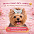Kit 10 Laços Pet Tamanho M Asa de Anjo Glitter Dia das Mães - Imagem 4