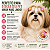 200 Adesivos Pet Flores Glitter - Banho e Tosa Profissional - Imagem 5