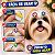 50 Adesivos Para Cão E Gato EVA Empresso PetShop Facil Colar - Imagem 4