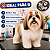 50 Adesivos Para Cão E Gato EVA Empresso PetShop Facil Colar - Imagem 5