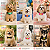 10 Gargantilha Super Herois Colarinho EVA Para Cães Pet Shop - Imagem 6