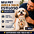 80 Colarinhos Gravatas Sublimado Dia Dos Pais Pet Shop Cores - Imagem 2