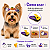 50 Adesivos Tic Tac Halloween EVA Pet Shop Cão Banho e Tosa - Imagem 3