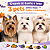 100 Adesivos Tic Tac Halloween EVA Pet Shop Cão Banho e Tosa - Imagem 5