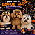 100 Adesivos Halloween Encantado EVAPet Shop Cão Banho eTosa - Imagem 5