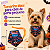 80 Colarinho Sublimada Pet Shop Tema Halloween  Para Cães - Imagem 2