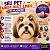 200 Adesivos EVA Travessos Halloween Pet Shop Banho e Tosa - Imagem 5