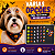 100 Adesivos EVA Horror Halloween Pet Shop Cão Banho e Tosa - Imagem 6