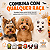 100 Adesivos EVA Monstros Halloween Pet Shop Banho e Tosa - Imagem 3