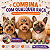 50 Adesivos EVA Medo Halloween Pet Shop Cão Banho e Tosa - Imagem 5