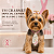 50 Gravatas Pet Outubro Rosa Cães Pet Shop Banho e Tosa Laço - Imagem 6