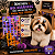 Cartela Holográfica Halloween Animal Pet Shop Cão Banho Tosa - Imagem 4