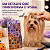Adesivo Cartela Halloween Pets Pet Shop Cães Banho e Tosa - Imagem 5