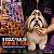 Adesivo Cartela Halloween Pets Pet Shop Cães Banho e Tosa - Imagem 6