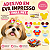 200 Adesivo Mickey Para Pets EVA Impresso Banho e Tosa - Imagem 2