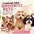 50 Adesivos Super Mickey Para Pets EVA Impresso Banho e Tosa - Imagem 5