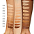Base Líquida Cushion Foundation 12g - Oceane - Imagem 2