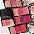 Paleta de Blush Wish Pro - Michelly Palma - Imagem 3