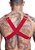 HARNESS EM ELASTICO VERMELHO COM METAL - Imagem 2