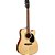 Violão Cort AD880CE NS/B Natural Satin Folk c/ Bag - Imagem 1
