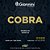 Encordoamento Bandolim Giannini 010-030 Cobra Bronze 80/20 Tensão Leve Loop End - Mandolin - CM82L - Imagem 1