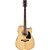 Violão Ibanez AW70ECE NT Solid Spruce Natural High Gloss Dreadnought Folk Cutaway - Imagem 1