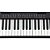 Teclado Musical Waldman WTS-100 BK 61 teclas Preto - Imagem 4