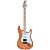 Guitarra Shelter SSW ALDER PRO Strato HSS Natural - SSWALDERPRO NA - Imagem 1