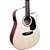 Violão Giannini Performance Deluxe DRC DLX CEQ NG Dreadnought Folk Cutaway Solid Spruce Natural Gloss - Fishman - c/ bag - Imagem 3