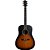 Violão Tagima Tulum TLM-100 SB Sunburst Solid Red Cedar Folk c/ Bag - Imagem 1
