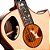 Violão Cort Roselyn Redux Spruce / Pau Ferro All Solid OM Cutaway - L.R. Baggs Anthem - c/ Case - Imagem 4