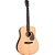 Violão Hertom Dreadnought DLX Natural Solid Spruce / Ovangkol B/S - Fishman Matrix Infinity - c/ Case - Imagem 1