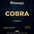 Encordoamento Cavaquinho Giannini Cobra Níquel GESCL Tensão Leve 010-026 - Imagem 1