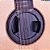 Anti Feedback Crafter Sound Sinker Pro - Redutor de Microfonia - 101mm - p/ Eq DS-2 Pro + - Imagem 2