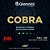 Encordoamento Baixolão 4 cordas Giannini 045-100 GEEBASF Cobra Phosphor Bronze - Imagem 1