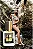 Inspiração olfativa:  Sexy Graffiti - Imagem 10