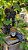 Home Spray Uva - Atrium Parfum - Imagem 1