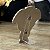 Funpin Harry Potter Dobby - Imagem 4