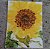 girassol I - Imagem 2