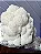 KIT 3 Extratos de Juba de Leão - Hericium Erinaceus - 50ml - Imagem 5