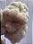 KIT 3 Extratos de Juba de Leão - Hericium Erinaceus - 50ml - Imagem 2